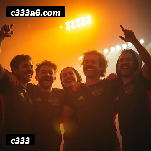 Suporte 24 horas c333